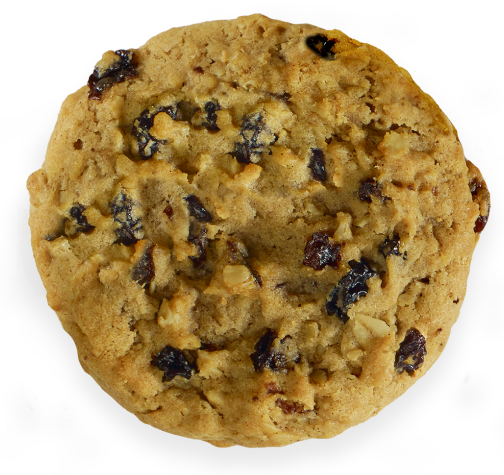Close up of a Gluten-free raisin cookie